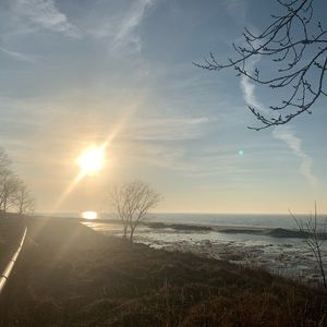 Meet your Posher, Nora